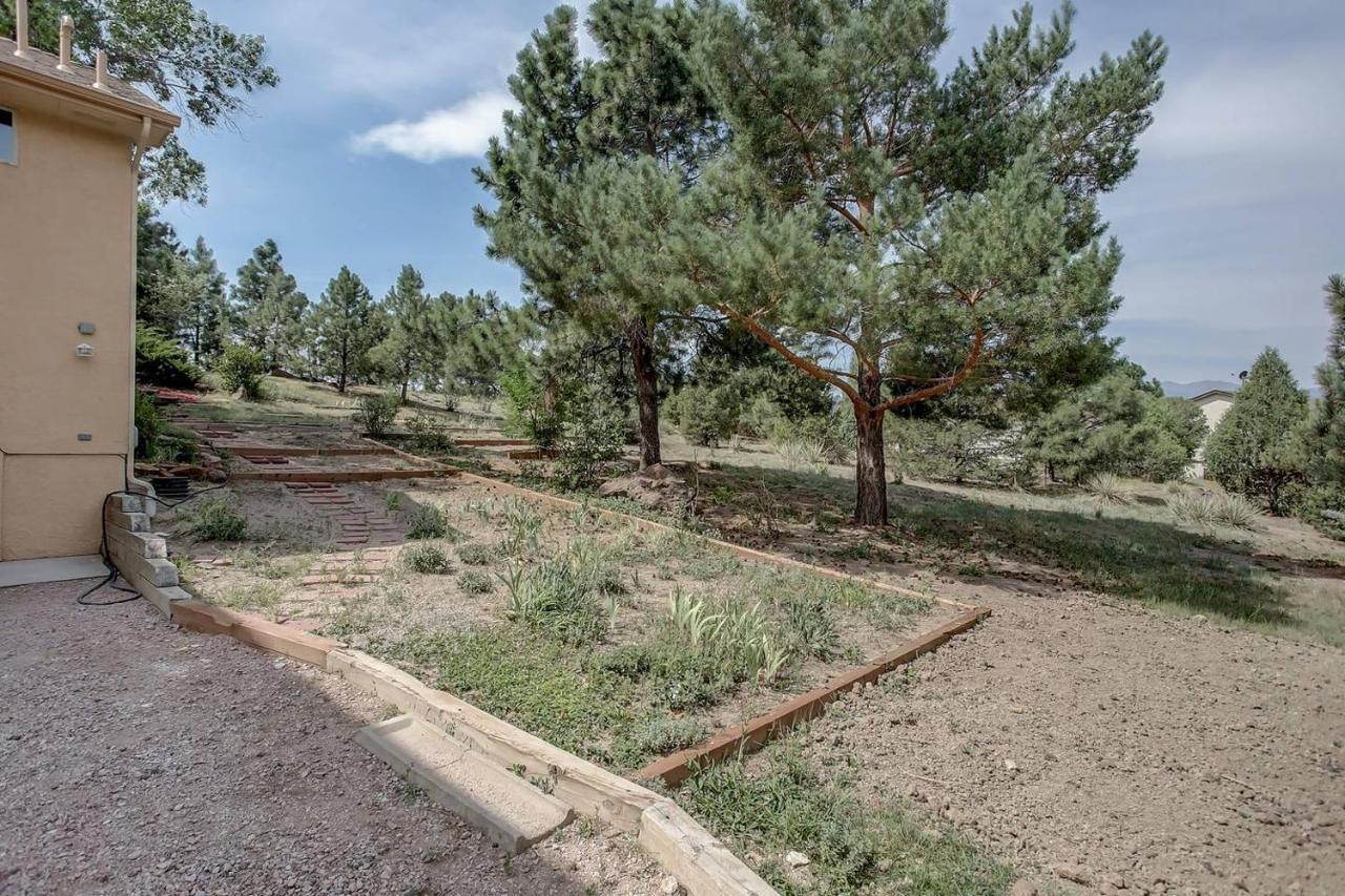 Bright & Cozy Studio Apartment In Colorado Springs Kültér fotó